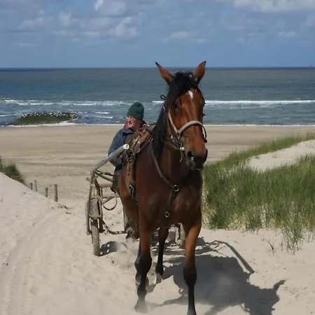 Chic In Forest Nearby Holiday home *