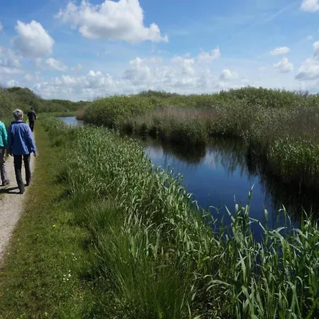 Chic In Forest Nearby Callantsoog