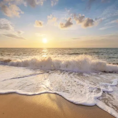 Chic In Forest Nearby Tatil Evi *