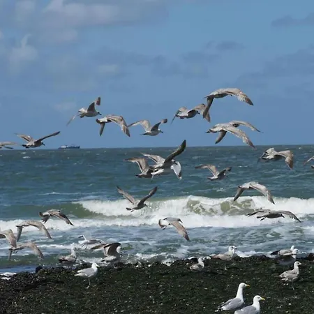 Chic In Forest Nearby Holiday home Callantsoog