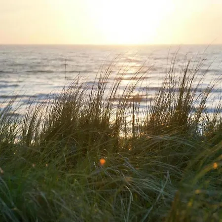 Tatil Evi Chic In Forest Nearby Callantsoog