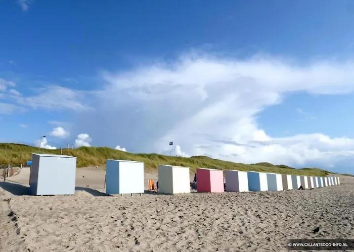 Ferienhaus Chic In Forest Nearby